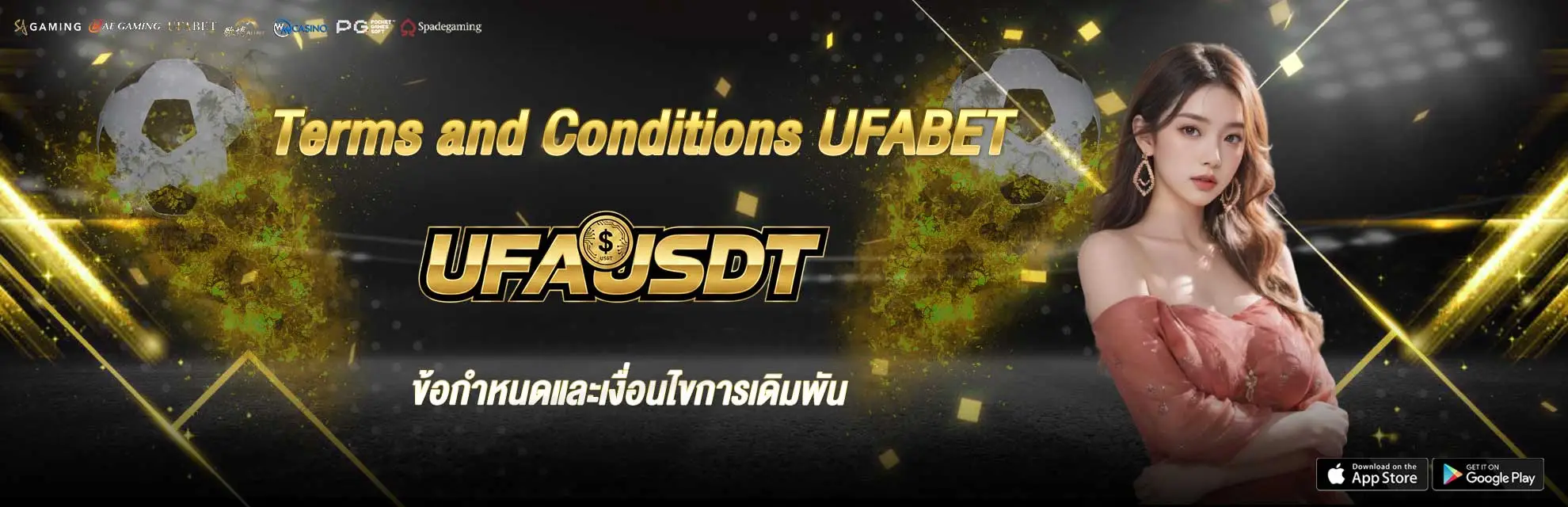 Terms and Conditions